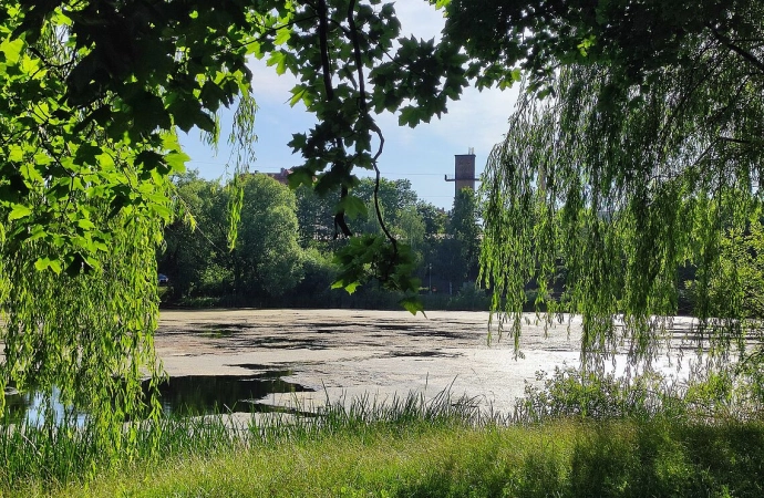 Oczyszczą Jezioro Długie